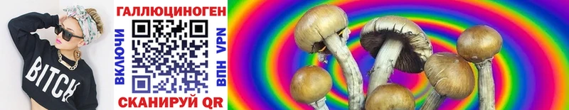 Псилоцибиновые грибы Psilocybine cubensis  Купить  Далматово 