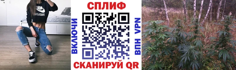 Канабис гибрид Далматово